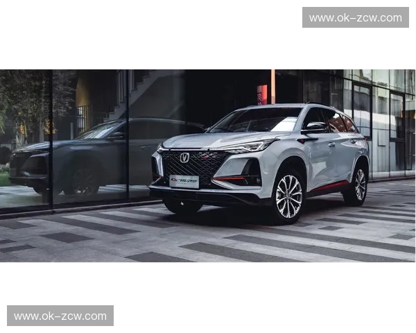 温盾vs桑托：巅峰对决，谁是真正的王者？